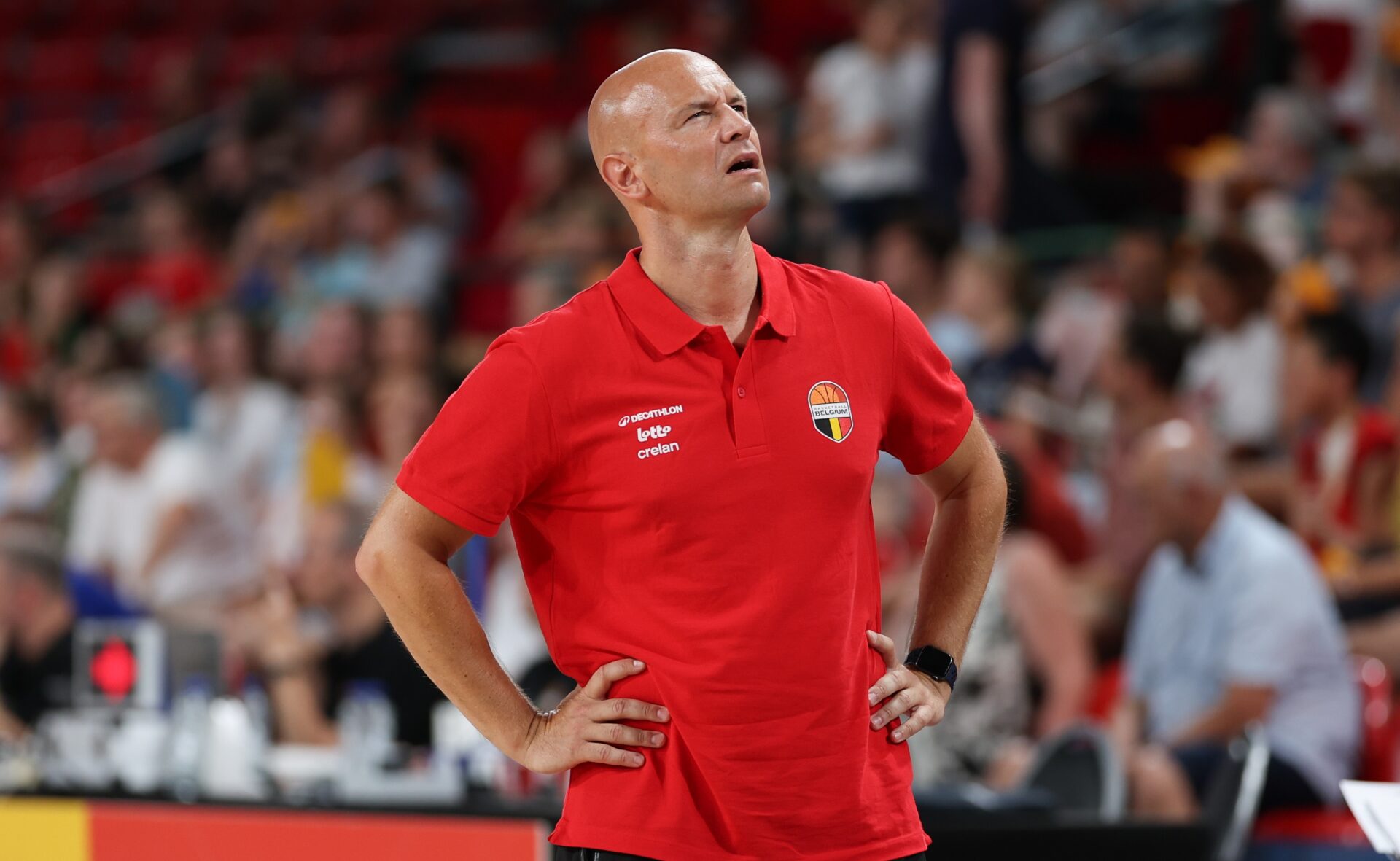 BASKET BELGIAN BE GOLD CATS VS FINLAND
